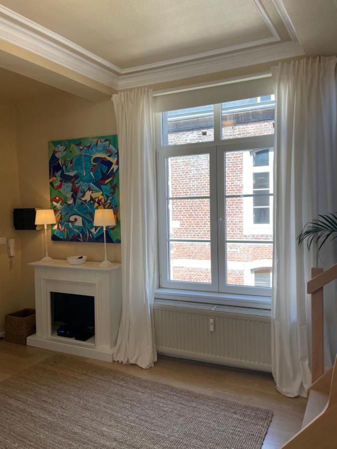 Le 25, Duplex Elegant Au Coeur Du Pietonnier Historique Apartment