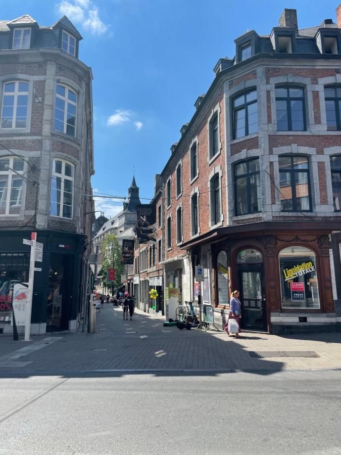 Le 25, Duplex Elegant Au Coeur Du Pietonnier Historique